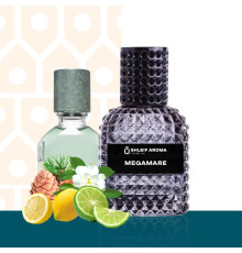 Парфуми  Shleif Aroma MEGAMARE