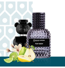 Парфуми  Shleif Aroma TOY BOY